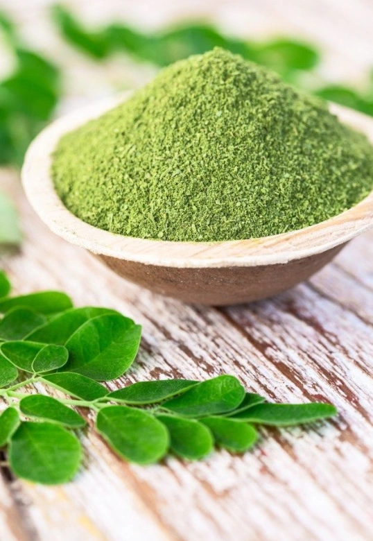 organic moringa sourcing